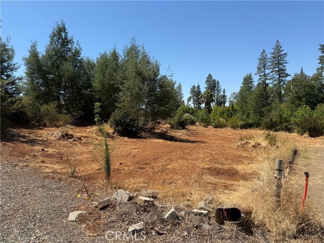 MLS #SN25178231 image #4