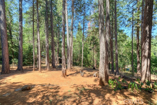 MLS #SN25183677 image #30