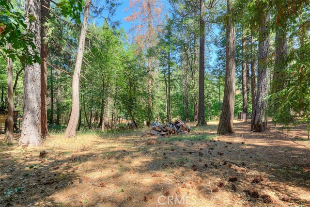 MLS #SN25183677 image #41