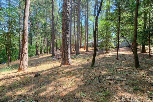 MLS #SN25183677 image #42