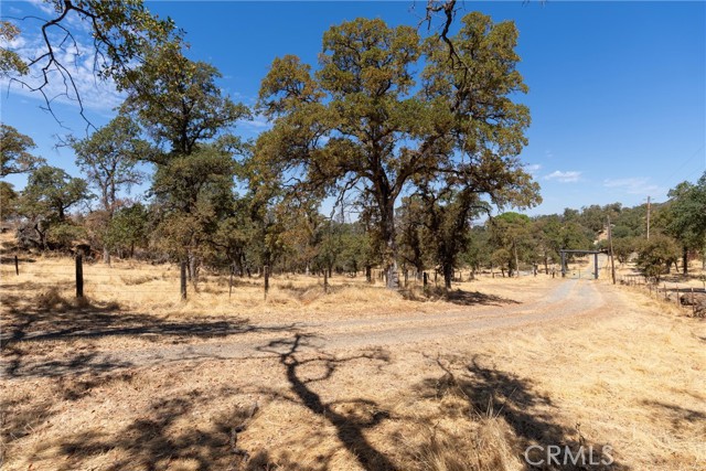 MLS #SN25183897 image #44