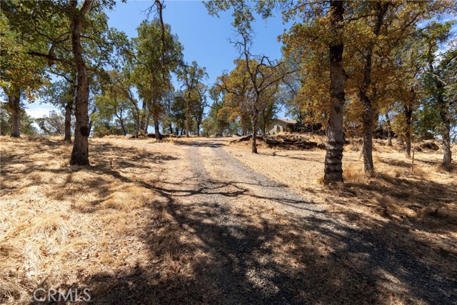 MLS #SN25183897 image #45