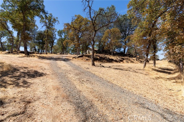 MLS #SN25183897 image #46