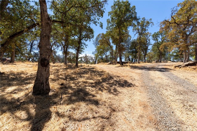 MLS #SN25183897 image #47