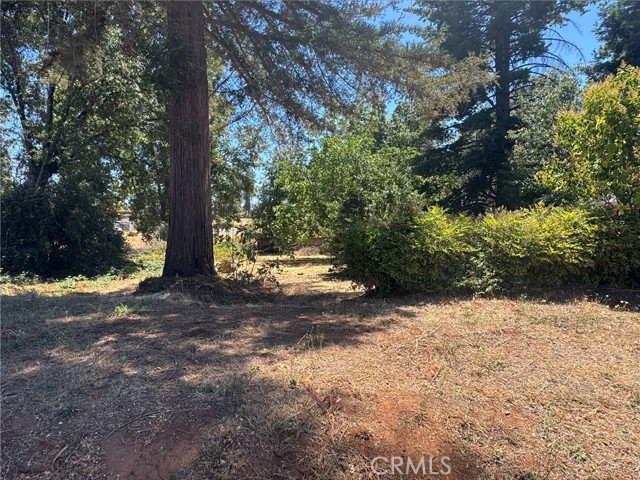 MLS #SN25184414 image #4