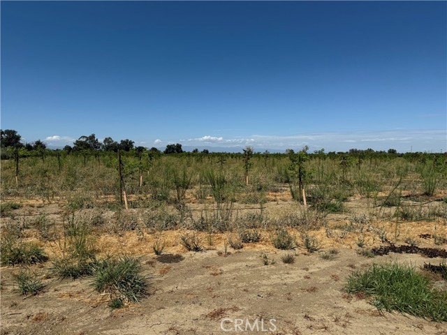 MLS #SN25184944 image #2