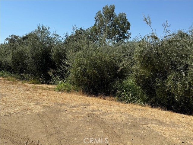 MLS #SN25184944 image #4