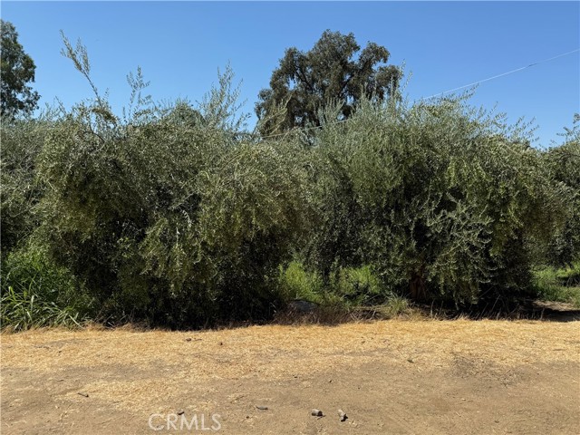 MLS #SN25184944 image #5