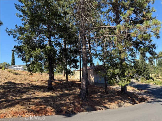 MLS #SN25189725 image #2