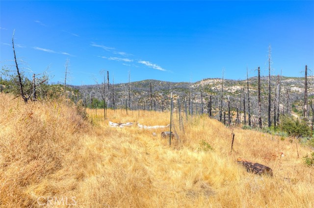 MLS #SN25191544 image #11