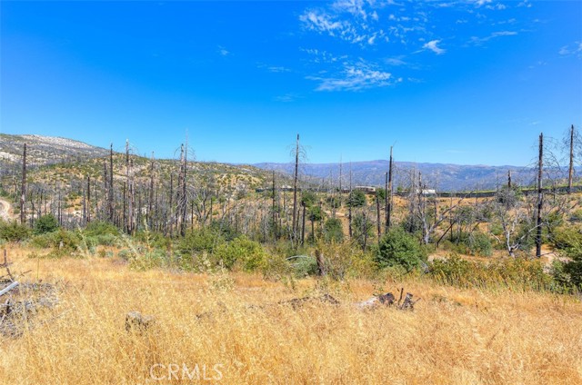 MLS #SN25191544 image #12