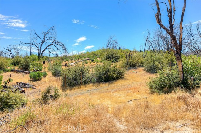 MLS #SN25191544 image #7