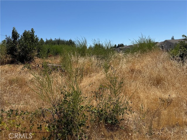 MLS #SN25192265 image #4