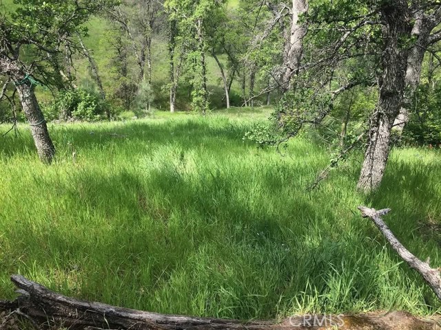 MLS #SN25194763 image #0