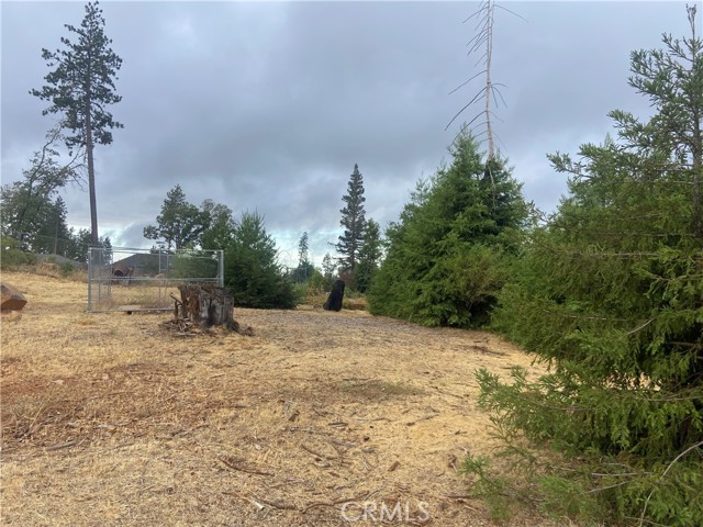 MLS #SN25202722 image #2