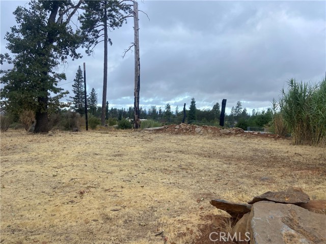 MLS #SN25202722 image #5