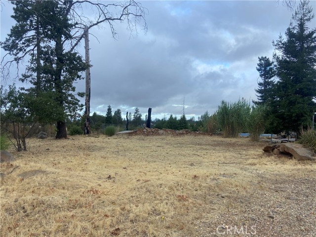 MLS #SN25202722 image #8