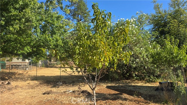 MLS #SN25205196 image #11