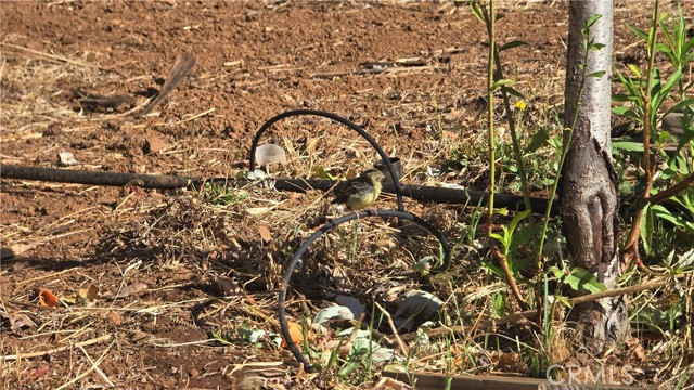 MLS #SN25205196 image #14