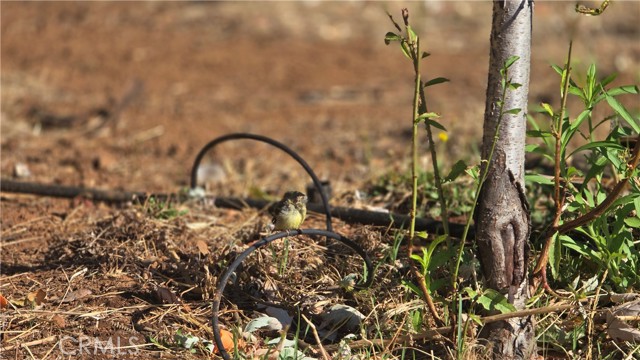 MLS #SN25205196 image #15