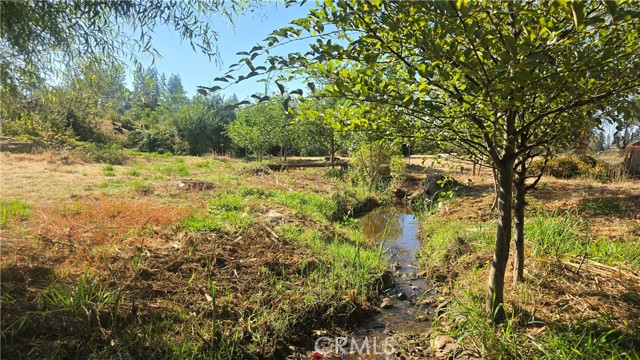 MLS #SN25205196 image #18