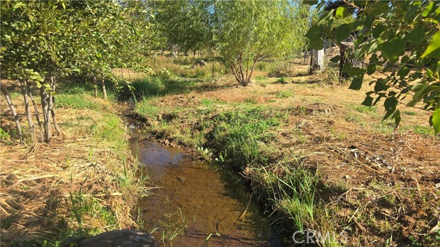 MLS #SN25205196 image #21