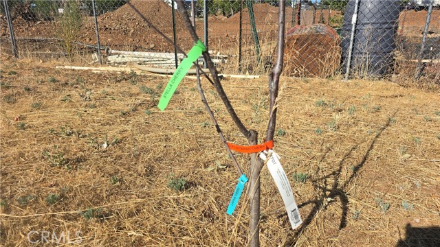 MLS #SN25205196 image #6