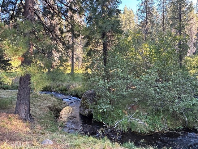 MLS #SN25207531 image #1