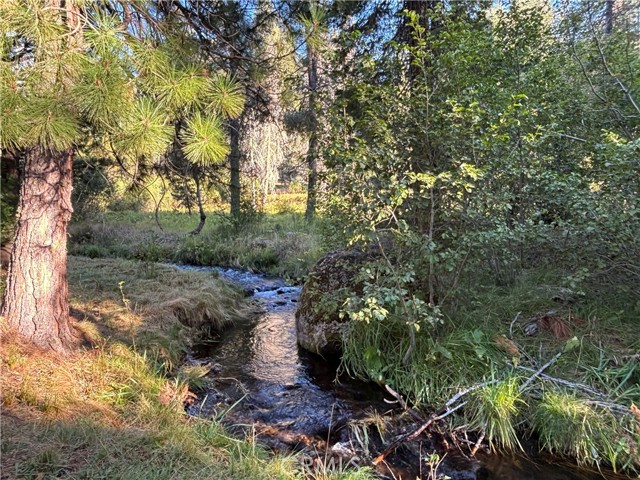 MLS #SN25207531 image #33