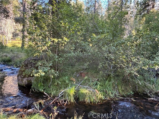 MLS #SN25207531 image #34