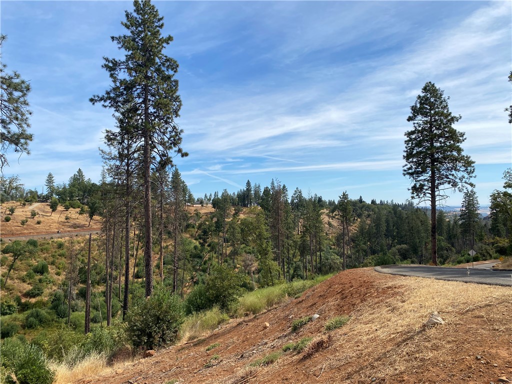 MLS #SN25214367 image #1