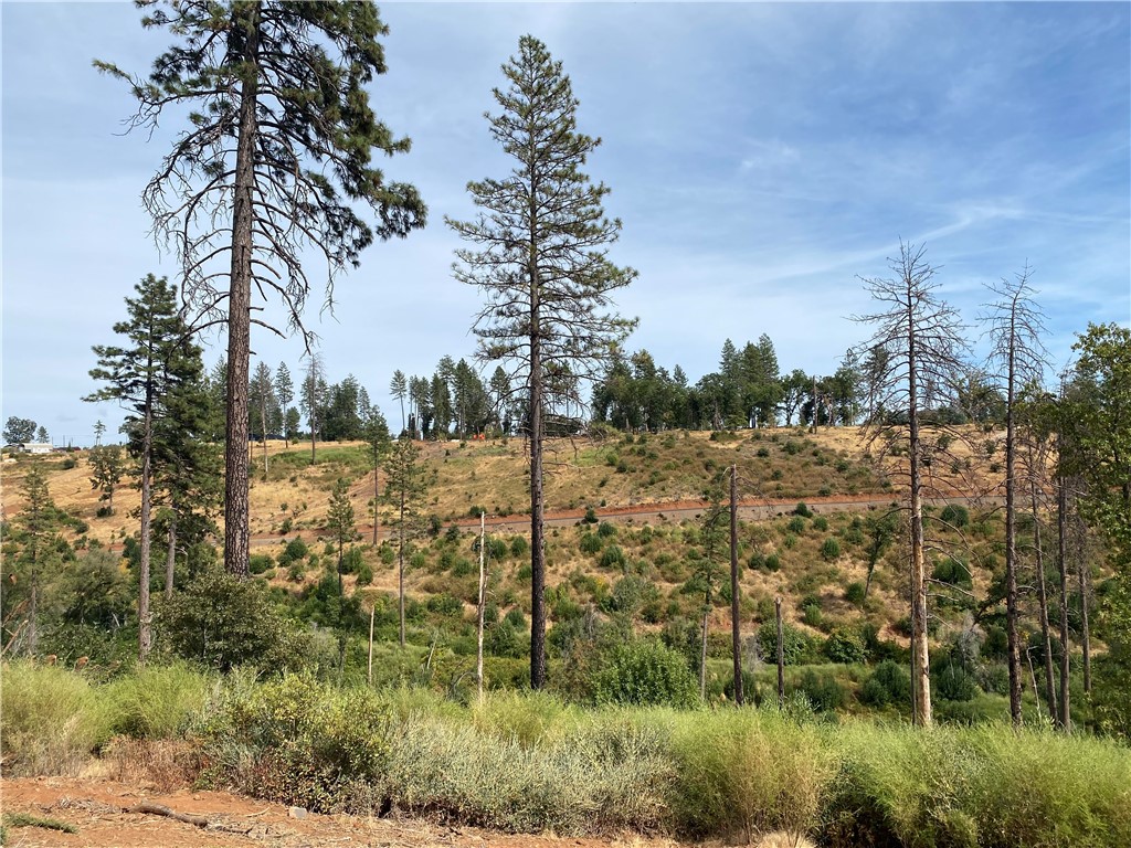 MLS #SN25214367 image #3