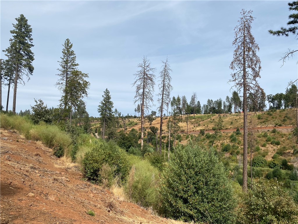 MLS #SN25214367 image #4