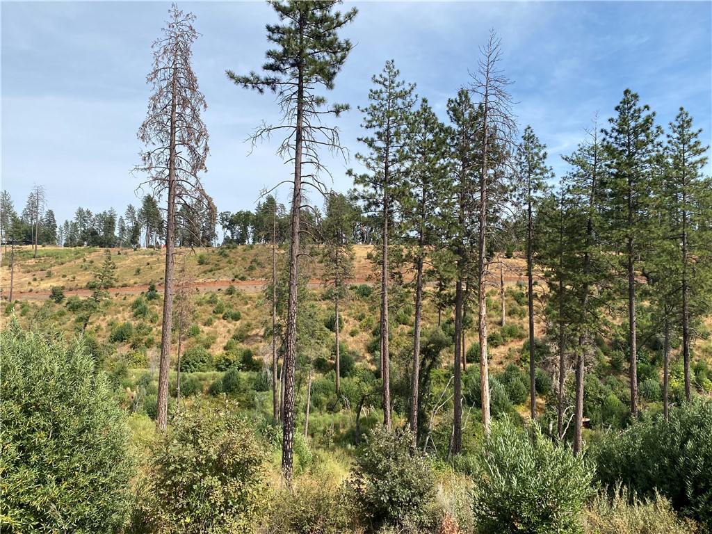 MLS #SN25214367 image #5