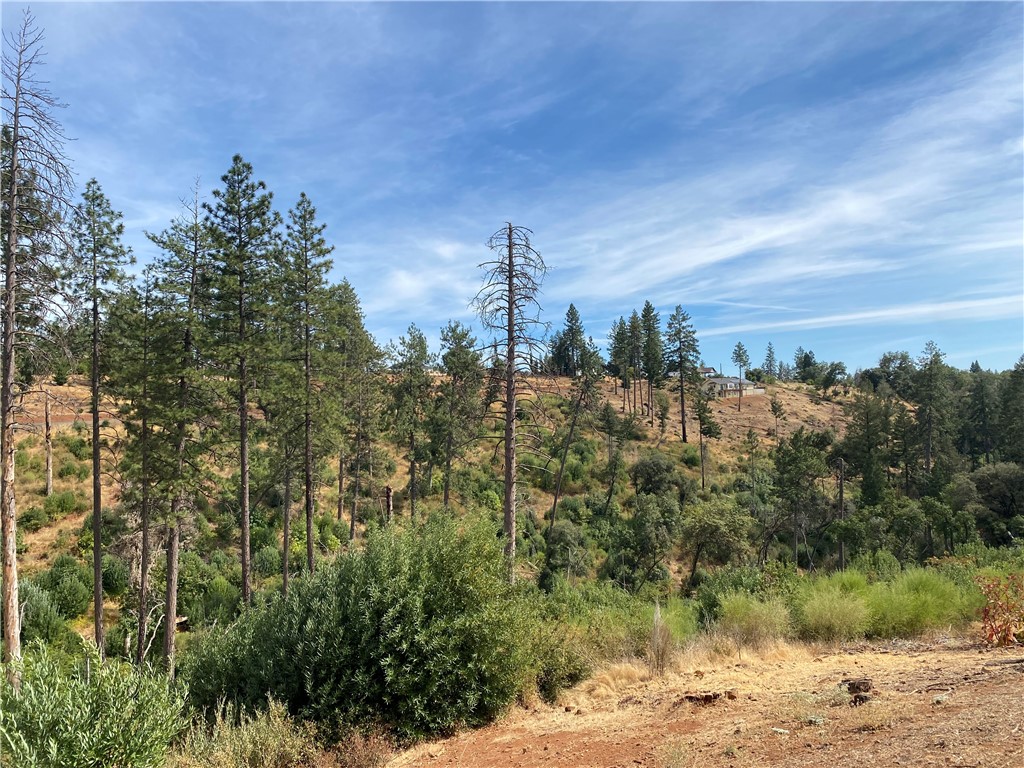 MLS #SN25214367 image #6