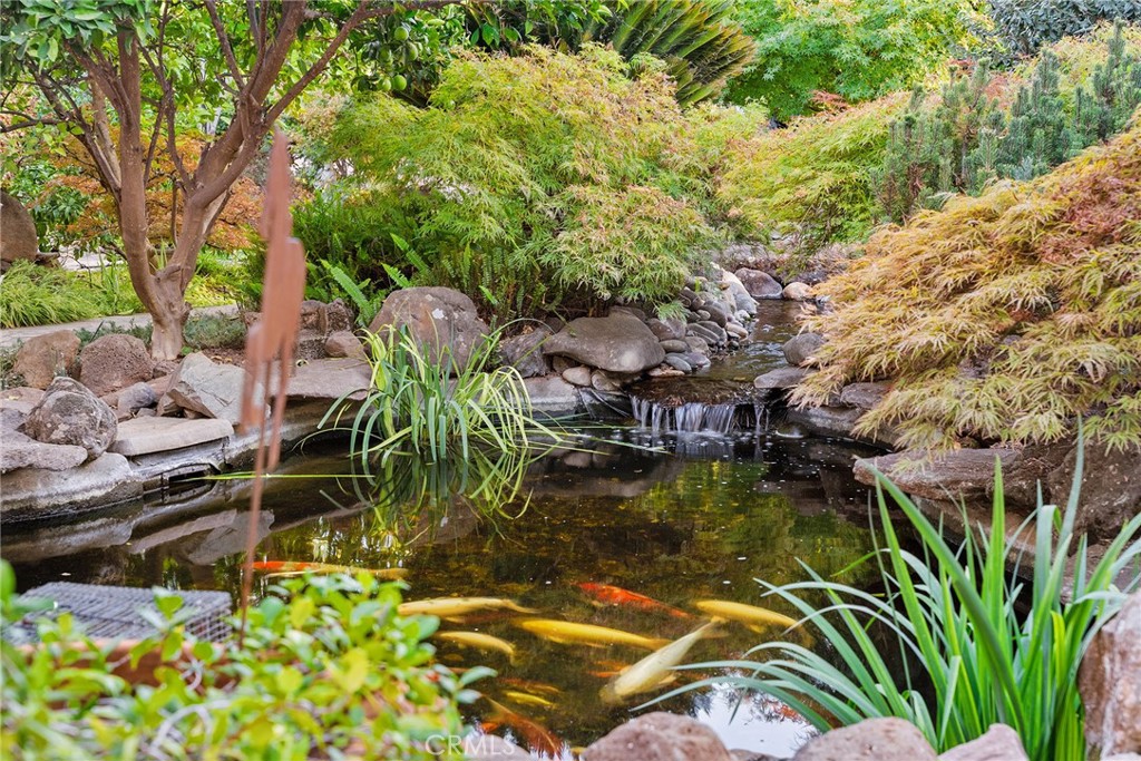 MLS #SN25214497 image #45