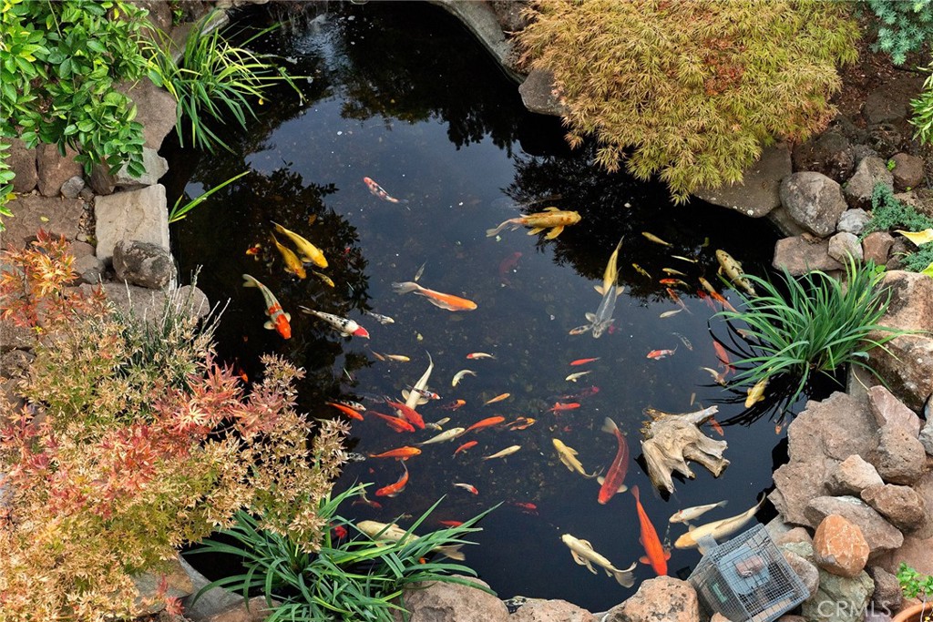 MLS #SN25214497 image #56