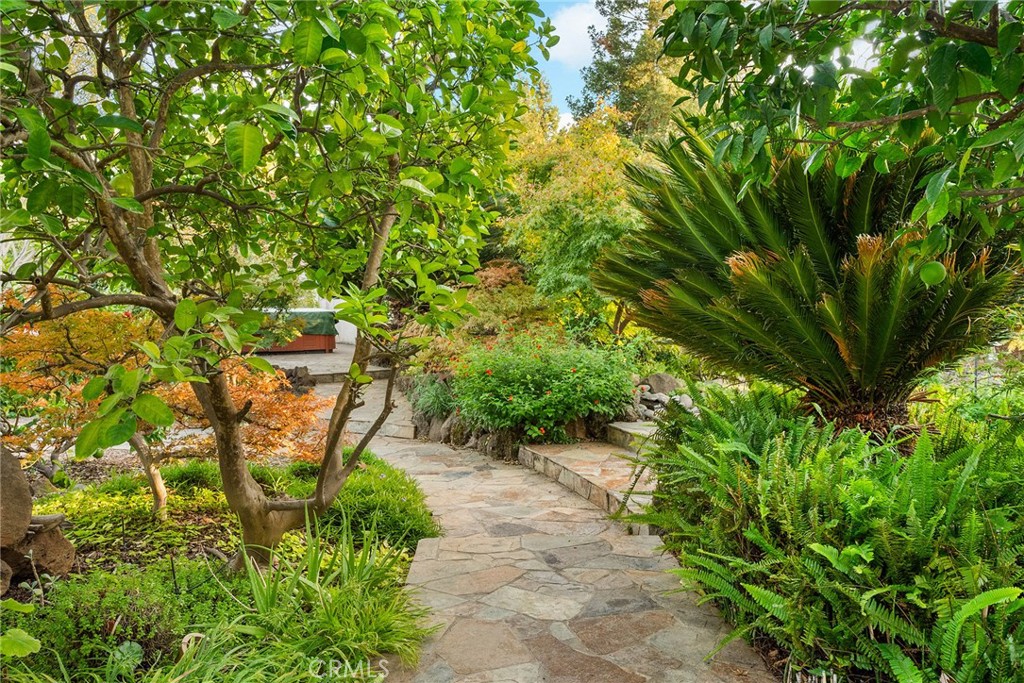 MLS #SN25214497 image #60