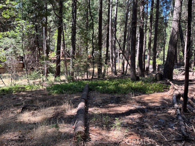 MLS #SN25217278 image #3