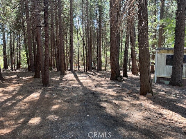 MLS #SN25217278 image #4