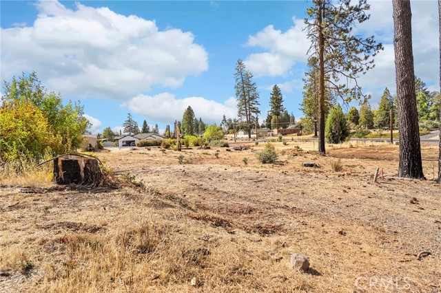 MLS #SN25218343 image #5