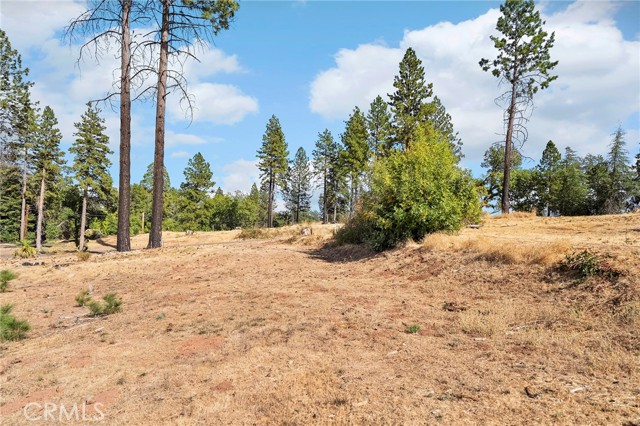 MLS #SN25218343 image #6