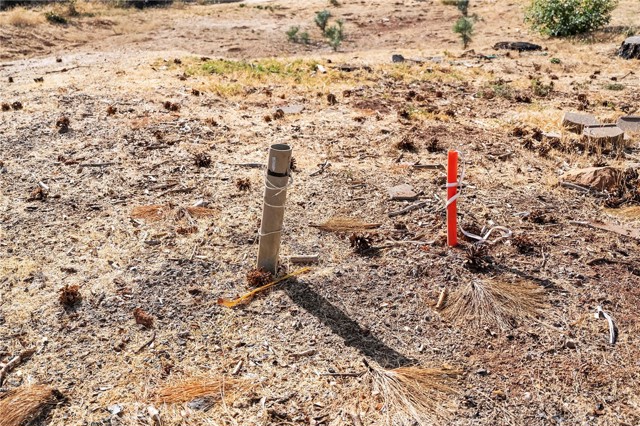 MLS #SN25218343 image #7