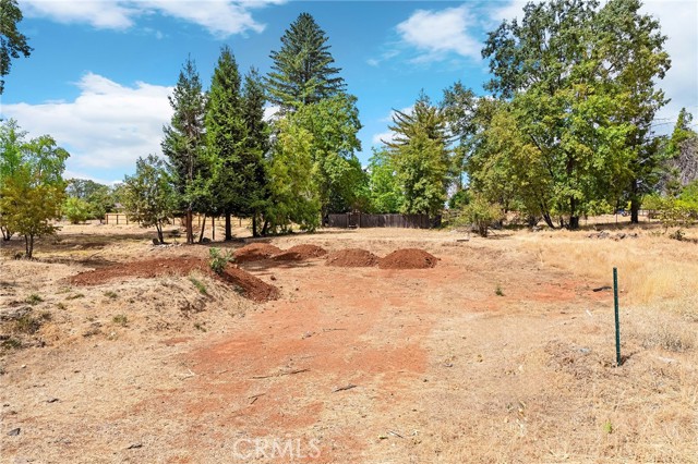 MLS #SN25218344 image #5