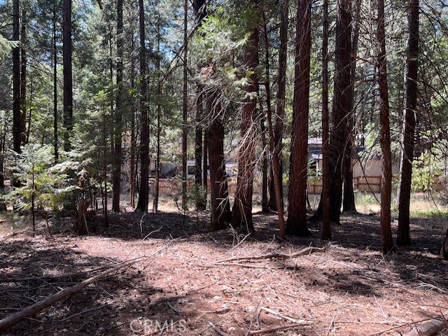 MLS #SN25217278 image #0