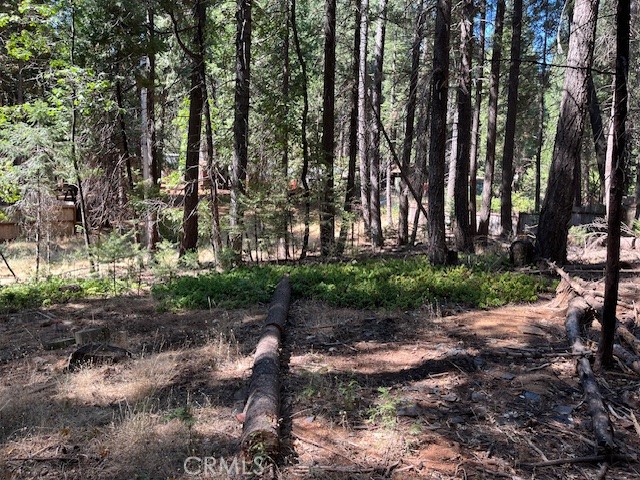 MLS #SN25217278 image #1