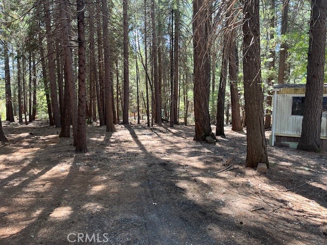 MLS #SN25217278 image #2