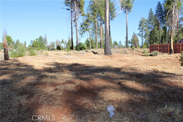 MLS #SN25219934 image #4