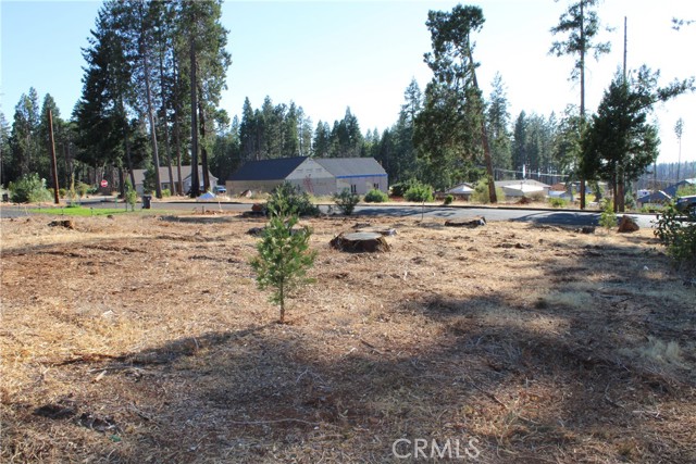 MLS #SN25219934 image #6