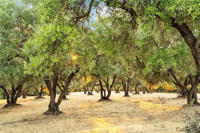 MLS #SN25224685 image #48